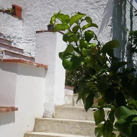 Rurales El Canuelo De